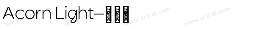 Acorn Light字体转换